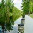 Dismal Swamp Canal Welcome Center
