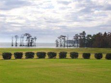 Albemarle Plantation's Sound Golf Links